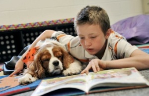Boy with dog 